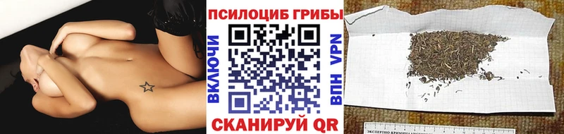 Галлюциногенные грибы Cubensis  Саяногорск 