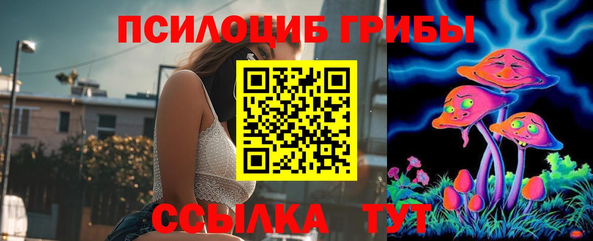 Саяногорск  Псилоцибиновые грибы Psilocybe  Вход с VPN 