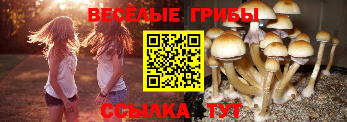 Галлюциногенные грибы мухоморы Саяногорск